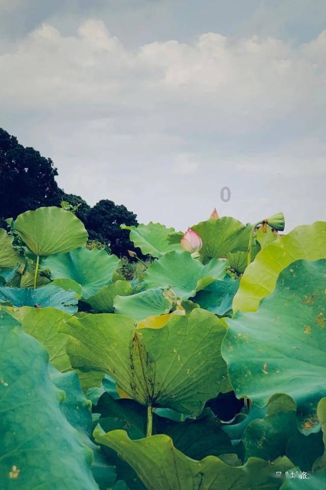 大话2经典版