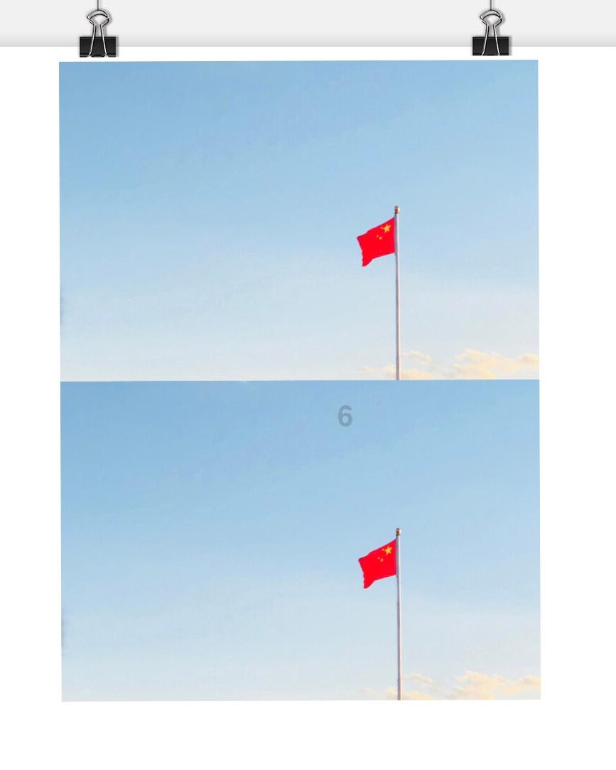 救援非洲金猫